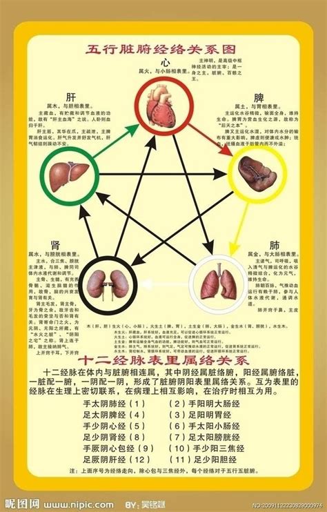 宮商角徵羽心肝脾肺腎